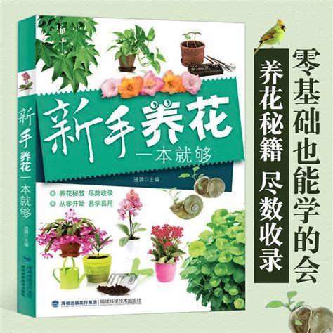 植物盆栽|盆栽养花知识大全